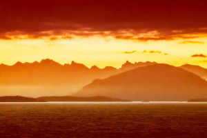 告别小打小闹！国际品牌豪掷千金，电竞市场迎来黄金时代！